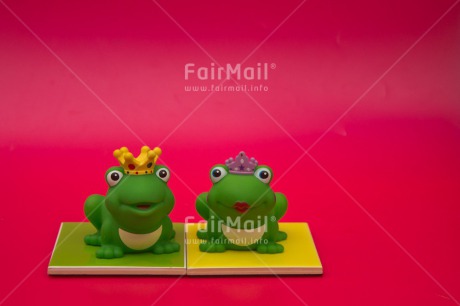 Fair Trade Photo Animals, Cute, Frog, Love, Marriage, Prince, Princess, Together, Wedding