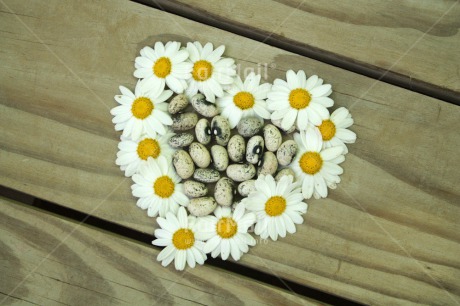 Fair Trade Photo Colour image, Daisy, Heart, Horizontal, Love, Peru, South America, Valentines day