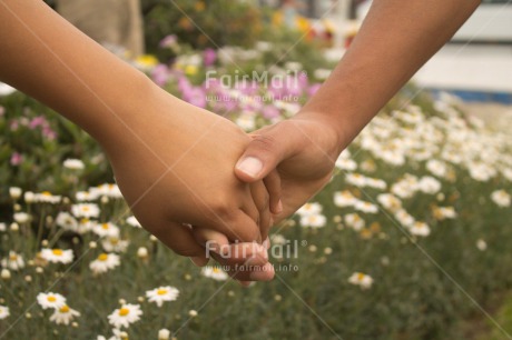 Fair Trade Photo Closeup, Colour image, Flower, Friendship, Hand, Horizontal, Love, Peru, Shooting style, South America, Together