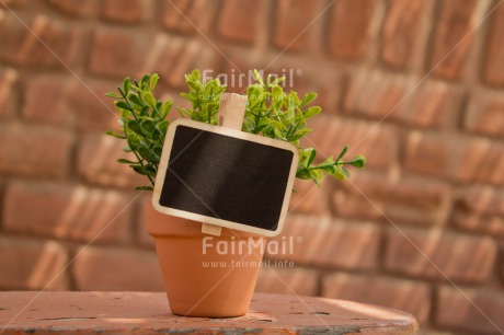 Fair Trade Photo Blackboard, Brick, Colour image, Fathers day, Green, Horizontal, Message, Peace, Peru, Plant, Pot, South America, Sun, Table