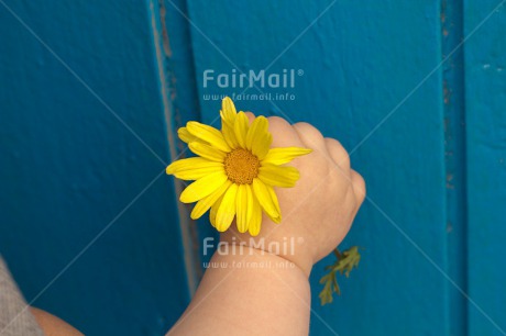 Fair Trade Photo Baby, Blue, Colour image, Flower, Gift, Hand, Horizontal, New baby, People, Peru, South America, Yellow