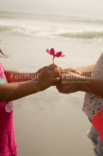 Fair Trade Photo 10-15 years, 5 -10 years, Activity, Beach, Children, Colour image, Day, Flower, Friendship, Gift, Holding hands, Holiday, Ocean, Peru, Sand, Sea, Seasons, Sister, Sorry, South America, Summer, Thank you, Two, Vertical, Water