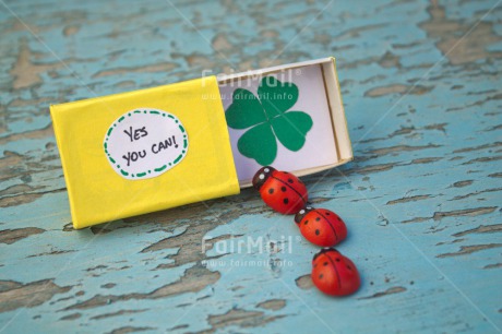 Fair Trade Photo Blue, Box, Clover, Colour image, Exams, Gift, Good luck, Green, Heart, Horizontal, Indoor, Ladybug, New Job, Peru, South America, Yellow