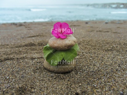 Fair Trade Photo Balance, Beach, Colour image, Condolence-Sympathy, Flower, Focus on foreground, Horizontal, Nature, Outdoor, Peru, Sand, Sea, Seasons, South America, Spirituality, Summer, Tabletop, Thinking of you, Wellness