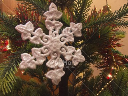 Fair Trade Photo Blue, Christmas, Colour image, Horizontal, Indoor, Peru, South America, Star, Tabletop, Tree, White