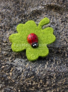 Fair Trade Photo Colour image, Day, Good luck, Ladybug, Leaf, Outdoor, Peru, South America, Vertical