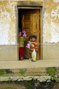 Fair Trade Photo Colour image, Door, Flower, Group of children, House, People, Peru, Smiling, South America, Streetlife, Vertical, Young