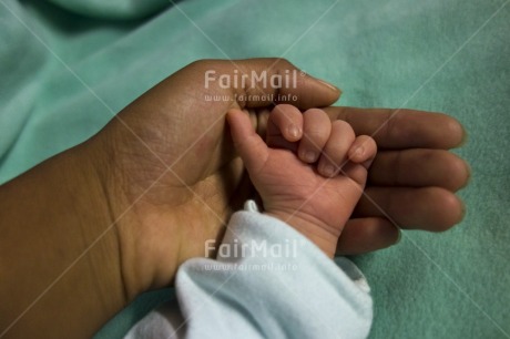 Fair Trade Photo Baby, Birth, Care, Colour image, Growth, Hand, Health, Horizontal, Love, Mother, New baby, People, Peru, Responsibility, South America, Values