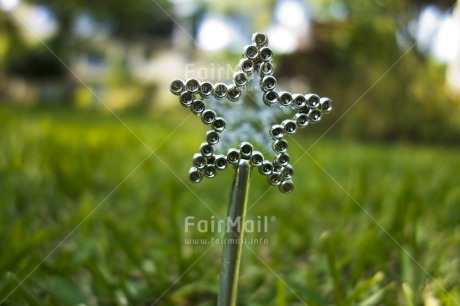 Fair Trade Photo Christmas, Colour image, Day, Grass, Green, Horizontal, New Year, Outdoor, Peru, Silver, South America, Star