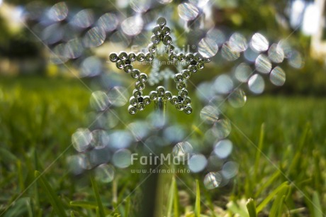 Fair Trade Photo Christmas, Colour image, Day, Grass, Green, Horizontal, New Year, Outdoor, Peru, Silver, South America, Star