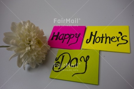 Fair Trade Photo Colour image, Flower, Horizontal, Indoor, Letter, Mothers day, Multi-coloured, Peru, South America, Studio