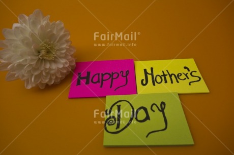 Fair Trade Photo Colour image, Flower, Horizontal, Indoor, Letter, Mothers day, Multi-coloured, Peru, South America, Studio