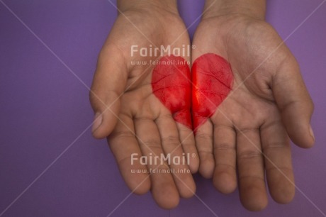 Fair Trade Photo Activity, Card, Closeup, Colour image, Giving, Hand, Heart, Horizontal, Love, Peru, Purple, Red, South America, Valentines day