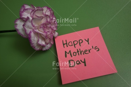 Fair Trade Photo Colour image, Flower, Horizontal, Letter, Mothers day, Peru, Pink, South America, Studio