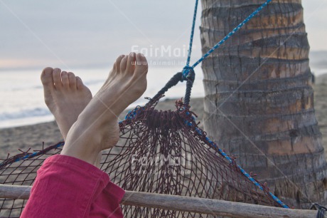 Fair Trade Photo Activity, Closeup, Colour image, Day, Foot, Hammock, Holiday, One woman, Outdoor, Palmtree, People, Peru, Relaxing, Sky, South America, Summer, Travel, Tree