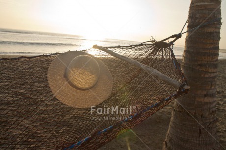 Fair Trade Photo Colour image, Evening, Hammock, Hat, Holiday, Light, Outdoor, Palmtree, Peru, Relax, South America, Summer, Sun, Travel, Tree