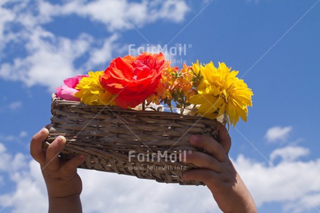 Fair Trade Photo Clouds, Colour image, Flower, Peru, Sky, South America, Summer