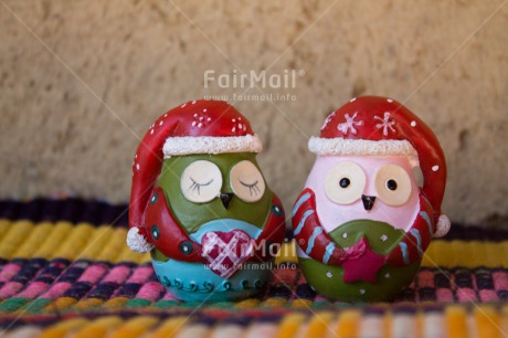 Fair Trade Photo Christmas, Colour image, Friendship, Owl, Peru, South America, Together