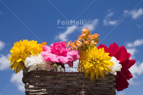 Fair Trade Photo Clouds, Colour image, Flower, Peru, Sky, South America, Summer