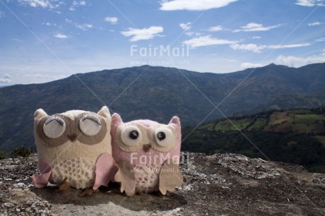 Fair Trade Photo Animals, Colour image, Friendship, Mountain, Owl, Peru, Rural, South America, Together