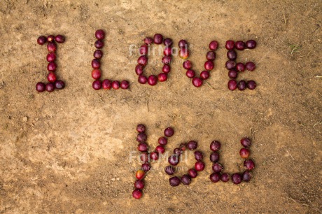 Fair Trade Photo Closeup, Coffee, Colour image, Fair trade, Food and alimentation, Heart, Letter, Love, Peru, South America