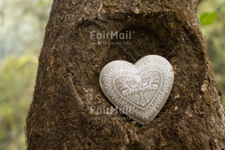 Fair Trade Photo Christmas, Closeup, Colour image, Heart, Love, Peru, South America, Tree