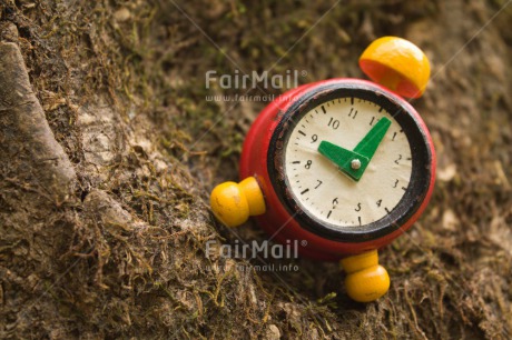 Fair Trade Photo Birthday, Clock, Closeup, Colour image, New Job, Peru, South America, Time, Tree