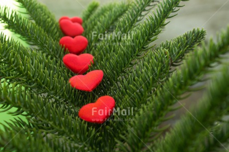 Fair Trade Photo Christmas, Closeup, Green, Heart, Horizontal, Love, Mothers day, Peru, Red, South America, Tree, Valentines day