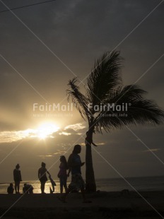 Fair Trade Photo Evening, Group of People, Light, Outdoor, Palmtree, People, Peru, Scenic, South America, Sunset, Travel, Tree, Vertical