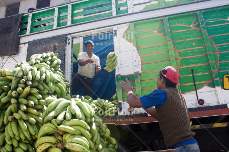 Fair Trade Photo Activity, Banana, Colour image, Cooperation, Food and alimentation, Fruits, Green, Horizontal, Latin, Market, People, Peru, Smiling, South America, Throwing, Two men, Working