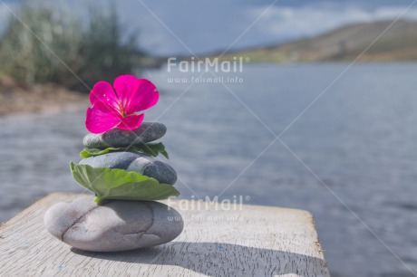 Fair Trade Photo Balance, Colour image, Condolence-Sympathy, Day, Flower, Horizontal, Outdoor, Peru, Pink, South America, Spirituality, Stone, Water, Wellness