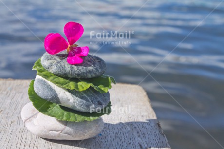 Fair Trade Photo Balance, Colour image, Condolence-Sympathy, Day, Flower, Horizontal, Outdoor, Peru, Pink, South America, Spirituality, Stone, Water, Wellness