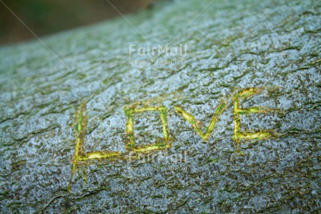 Fair Trade Photo Closeup, Colour image, Horizontal, Letter, Love, Peru, South America, Tree, Valentines day, Wood