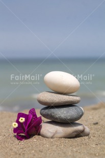 Fair Trade Photo Balance, Beach, Colour image, Condolence-Sympathy, Flower, Peru, Sea, South America, Stone, Summer, Thinking of you, Vertical, Wellness