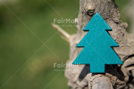 Fair Trade Photo Brown, Christmas, Colour image, Green, Horizontal, Peru, South America, Tree