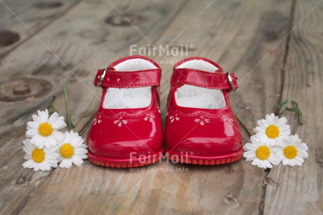 Fair Trade Photo Birth, Closeup, Colour image, Daisy, Flower, Horizontal, New baby, Peru, Shoe, Shooting style, South America