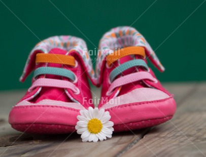 Fair Trade Photo Birth, Closeup, Colour image, Daisy, Flower, Horizontal, New baby, Peru, Shoe, Shooting style, South America