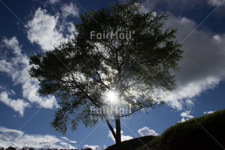 Fair Trade Photo Clouds, Colour image, Condolence-Sympathy, Evening, Horizontal, Light, Outdoor, Peru, Rural, Sky, South America, Tree