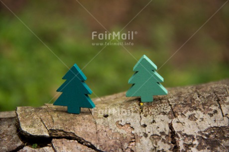 Fair Trade Photo Christmas, Colour image, Horizontal, Peru, South America, Tree