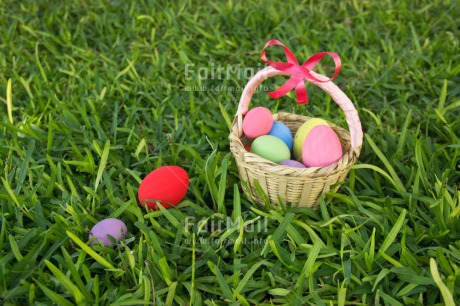 Fair Trade Photo Colour image, Colourful, Easter, Egg, Grass, Green, Horizontal, Peru, Seasons, South America, Spring