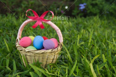 Fair Trade Photo Colour image, Colourful, Easter, Egg, Grass, Green, Horizontal, Peru, Seasons, South America, Spring