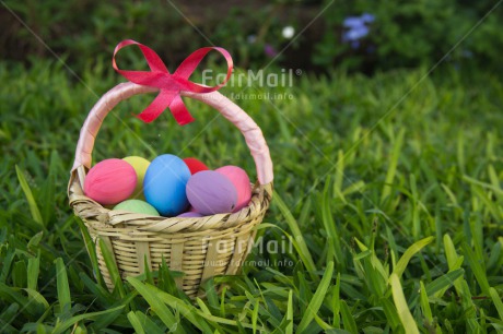 Fair Trade Photo Colour image, Colourful, Easter, Egg, Grass, Green, Horizontal, Peru, Seasons, South America, Spring
