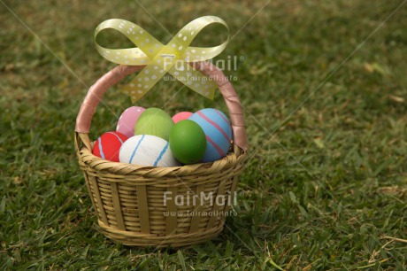 Fair Trade Photo Colour image, Easter, Egg, Horizontal, Seasons, Spring