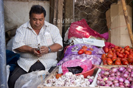Fair Trade Photo Colour image, Entrepreneurship, Horizontal, Market, Selling