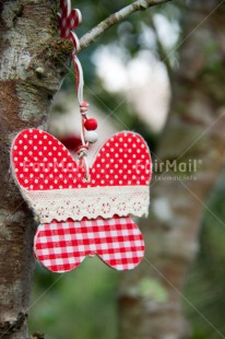 Fair Trade Photo Butterfly, Closeup, Colour image, Peru, Red, Shooting style, South America, Valentines day, Vertical, White