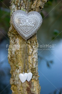 Fair Trade Photo Christmas, Colour image, Heart, Love, Peru, South America, Tree, Vertical, White