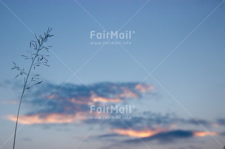 Fair Trade Photo Colour image, Horizontal, Rural, Scenic, Sky