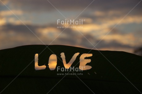 Fair Trade Photo Clouds, Colour image, Horizontal, Letter, Love, Sky, Sunset