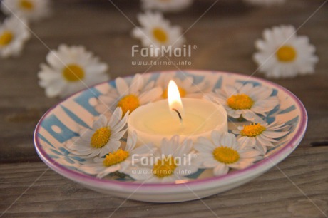 Fair Trade Photo Candle, Closeup, Colour image, Condolence-Sympathy, Daisy, Flame, Flower, Horizontal, Peru, Shooting style, South America, Spirituality, Wellness