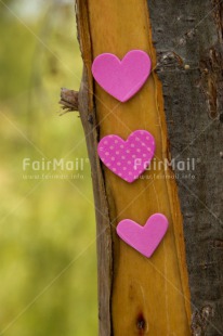 Fair Trade Photo Heart, Love, Peru, South America, Tree, Valentines day, Vertical